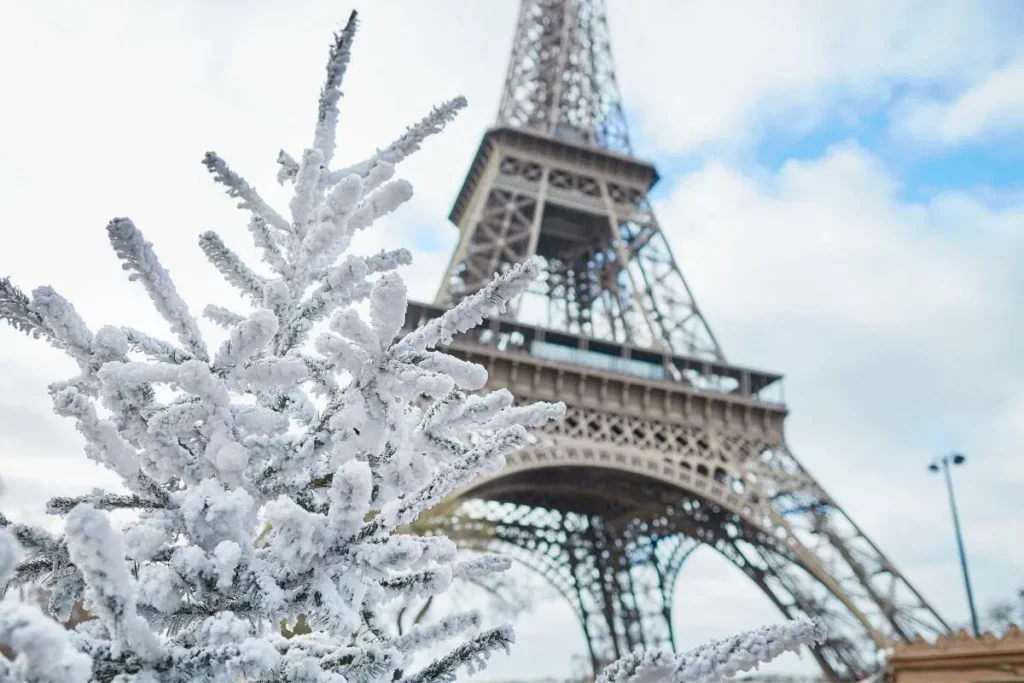 Christmas Market Tours: Magical Paris Winter Experience - New York Day Trip